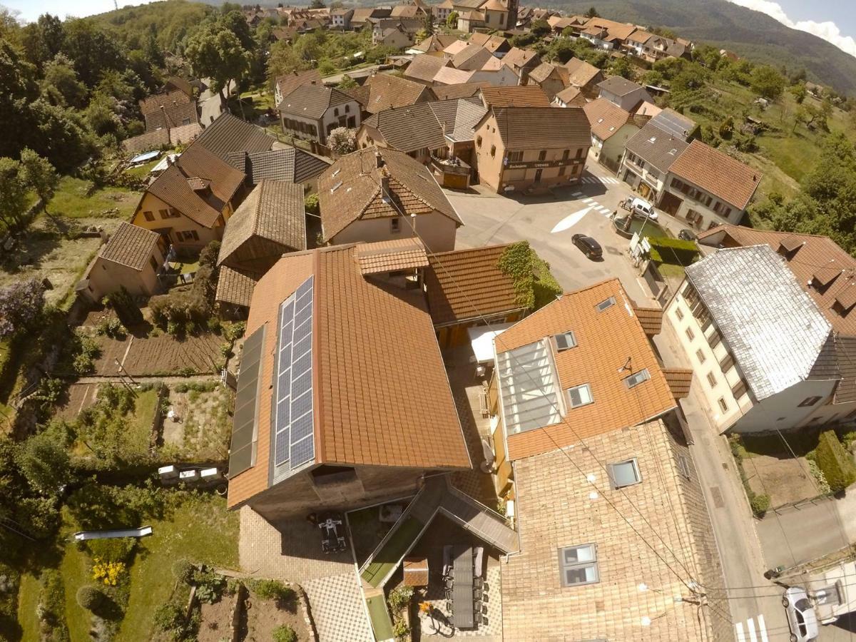 Le Domaine Du Verger, Chambres D'Hotes Osenbach Exteriör bild